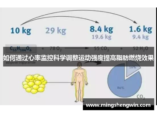 如何通过心率监控科学调整运动强度提高脂肪燃烧效果