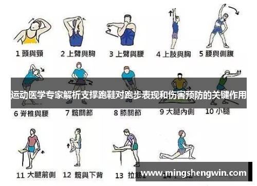 运动医学专家解析支撑跑鞋对跑步表现和伤害预防的关键作用